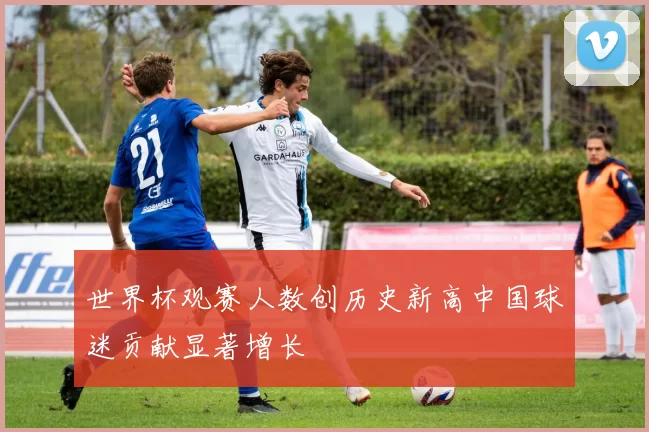 世界杯观赛人数创历史新高中国球迷贡献显著增长