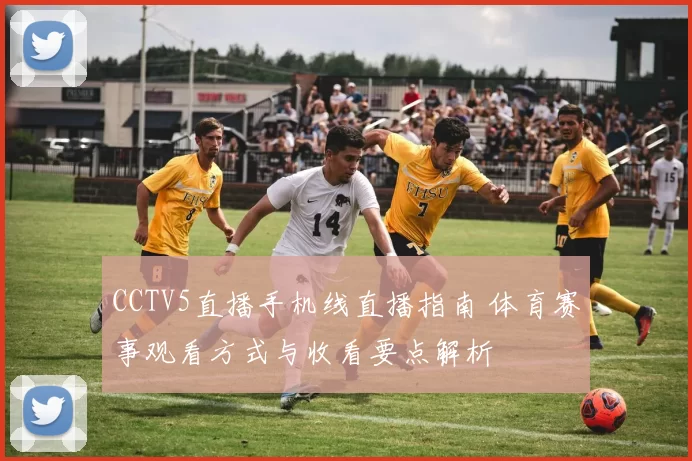 CCTV5直播手机线直播指南 体育赛事观看方式与收看要点解析