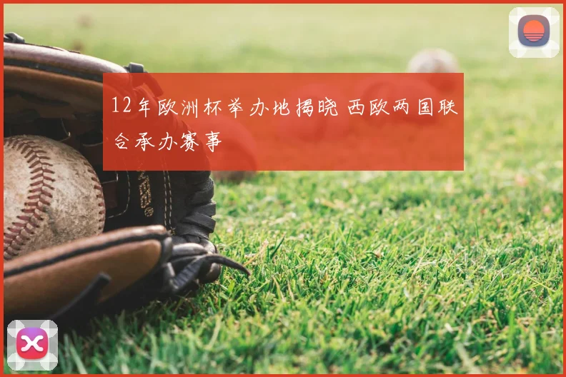 12年欧洲杯举办地揭晓 西欧两国联合承办赛事
