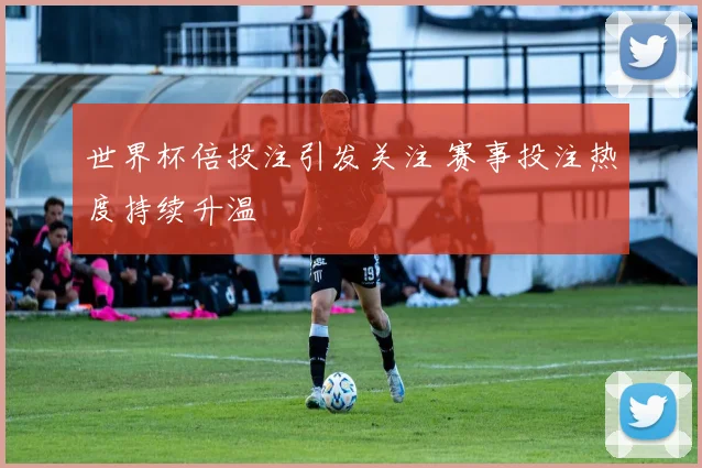 世界杯倍投注引发关注 赛事投注热度持续升温