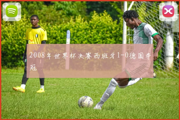 2008年世界杯决赛西班牙1-0德国夺冠